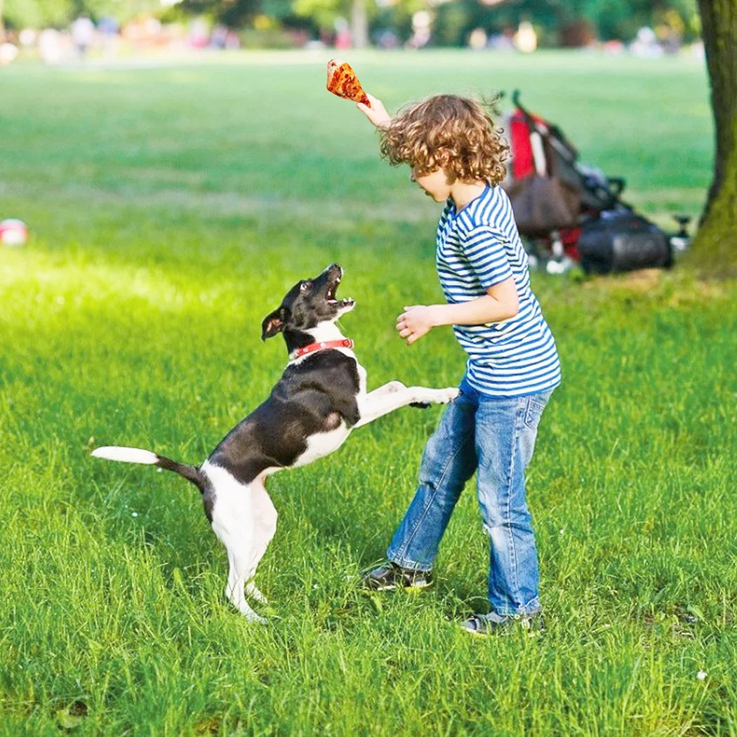 Dog Squeaky Toys Puppy Chew Toys Plush Dog Toys for Small/Medium Dogs, 14PCS