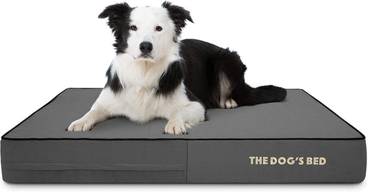 The Dog’S Bed Orthopedic Memory Foam Dog Bed, Large Grey & Black 40X25, Waterproof, Supportive Dog Bed with Replaceable Covers, Veterinary Approved